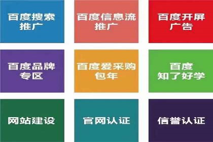 百度运营推广策略：成功案例解析